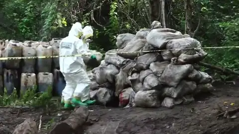 Incautan un narcolaboratorio en la montaña con más de 50 toneladas del cártel de Sinaloa en México Incautan un narcolaboratorio en la montaña con más de 50 toneladas del cártel de Sinaloa en México