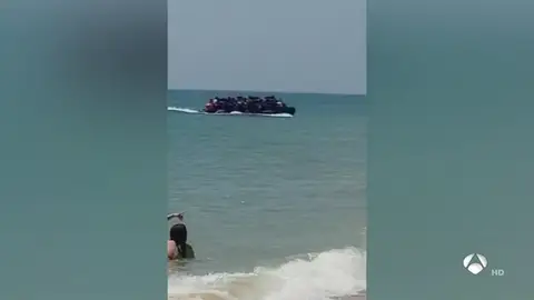 barrosa barrosa