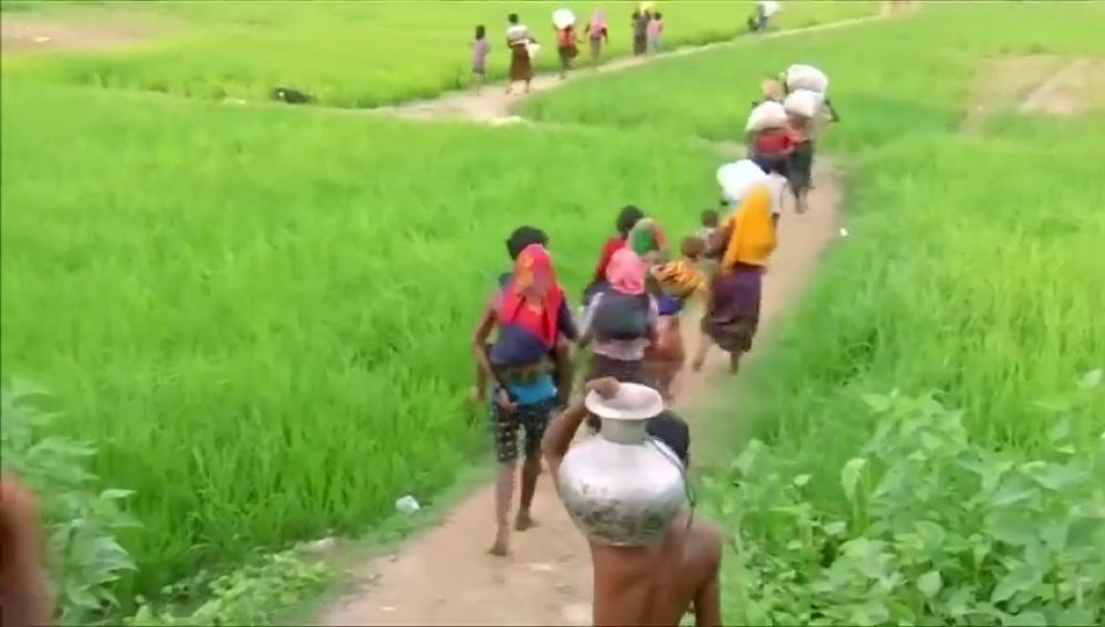Expertos de ONU piden juzgar a militares birmanos por "genocidio" de rohinyás