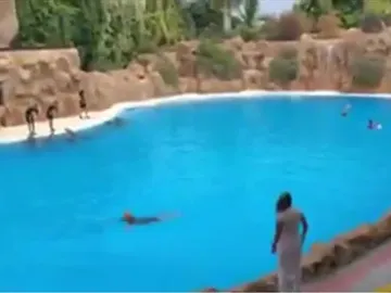 Activistas en el zoo de Tenerife Activistas en el zoo de Tenerife