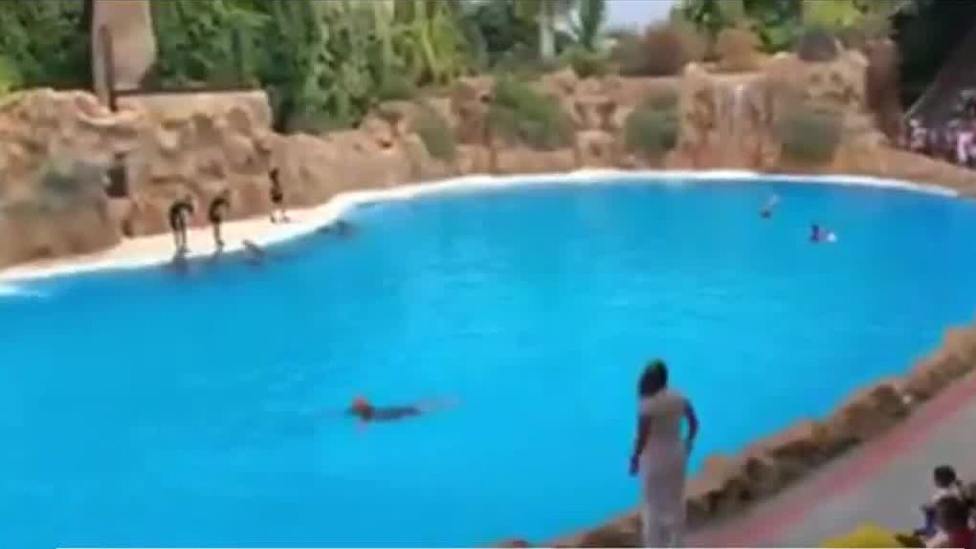 Activistas en el zoo de Tenerife