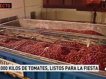 Imagen de archivo: Tomatina Imagen de archivo: Tomatina