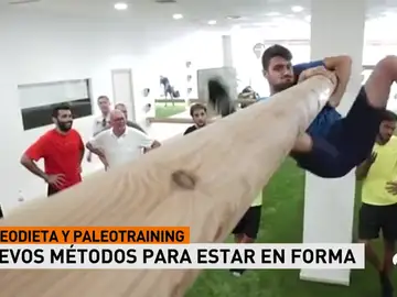 PaleoA3D PaleoA3D