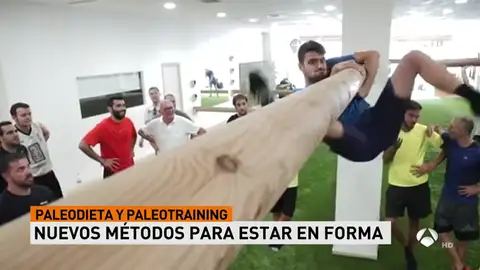 PaleoA3D PaleoA3D