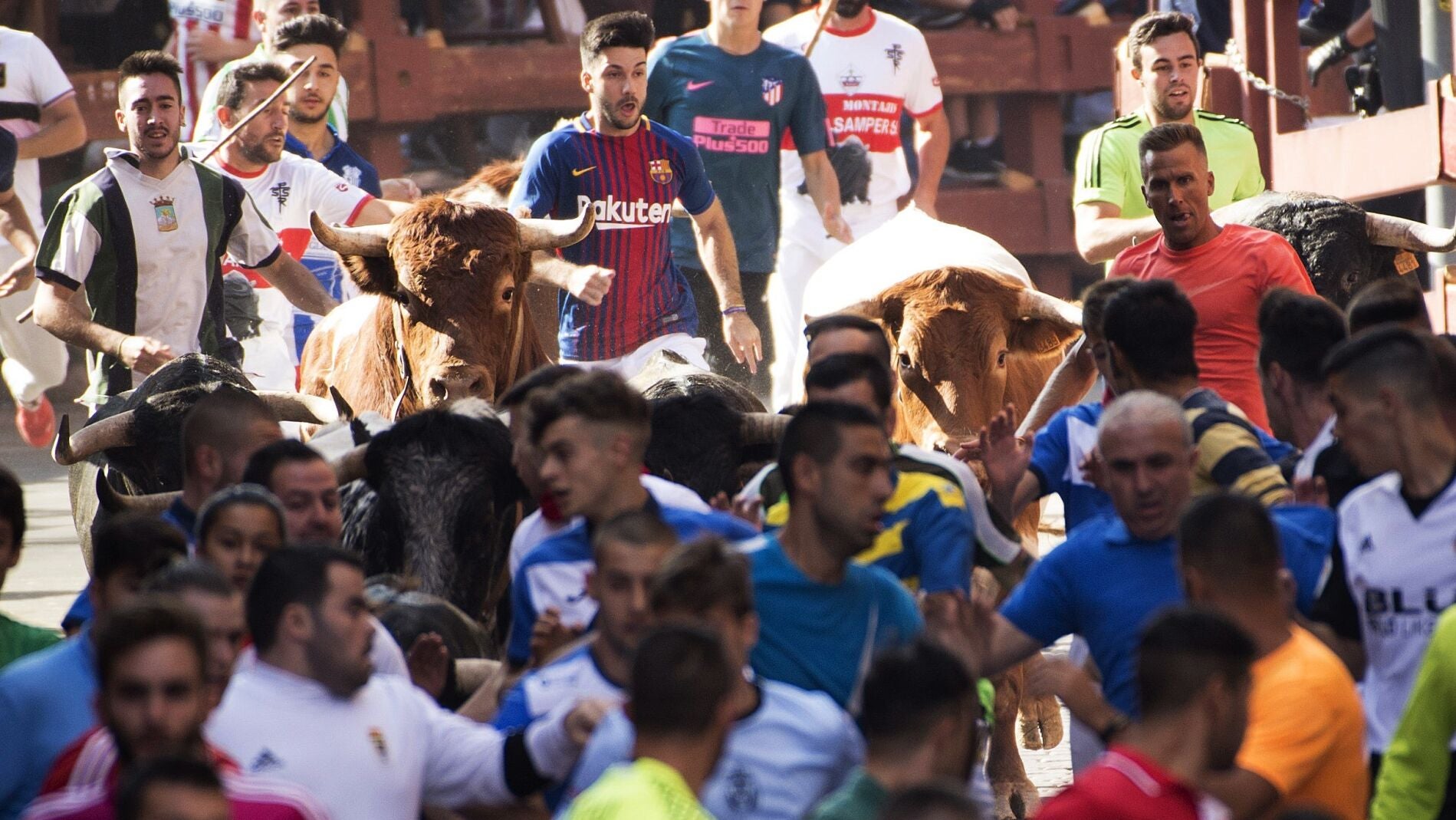Segundo encierro de San Sebasti&aacute;n de los Reyes