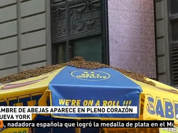Invasión de abejas en pleno centro de Nueva York Invasión de abejas en pleno centro de Nueva York