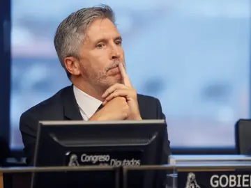 El ministro del Interior, Fernando Grande-Marlaska El ministro del Interior, Fernando Grande-Marlaska