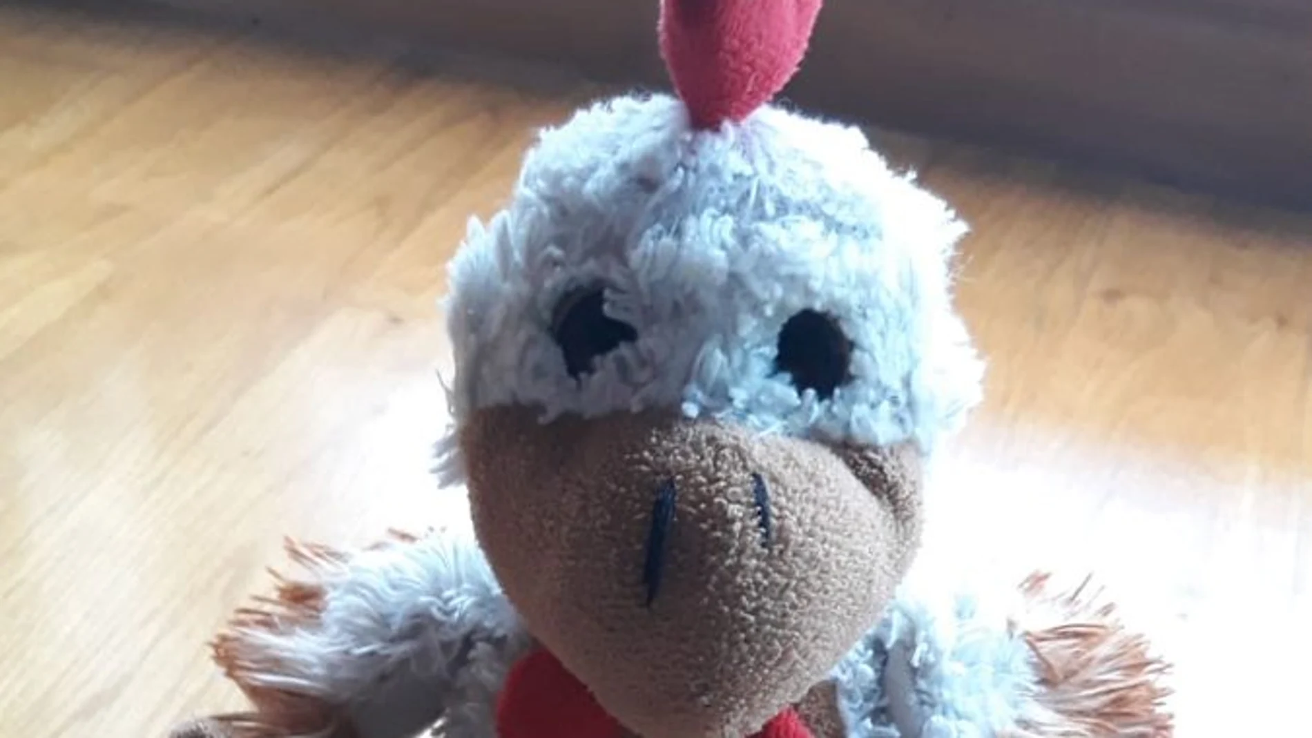 'Kiki', el peluche perdido que buscan las redes sociales 'Kiki', el peluche perdido que buscan las redes sociales