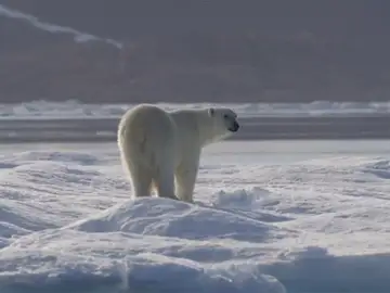 Los expertos avisan de que la Tierra podría alcanzar un 'punto de no retorno' para 2035 si no se frena el cambio climático Los expertos avisan de que la Tierra podría alcanzar un 'punto de no retorno' para 2035 si no se frena el cambio climático