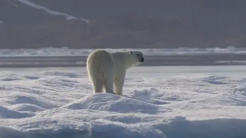 Los expertos avisan de que la Tierra podría alcanzar un 'punto de no retorno' para 2035 si no se frena el cambio climático Los expertos avisan de que la Tierra podría alcanzar un 'punto de no retorno' para 2035 si no se frena el cambio climático