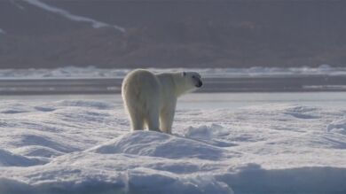 Año 2035, el 'punto de no retorno' de la Tierra si no se frena el cambio climático