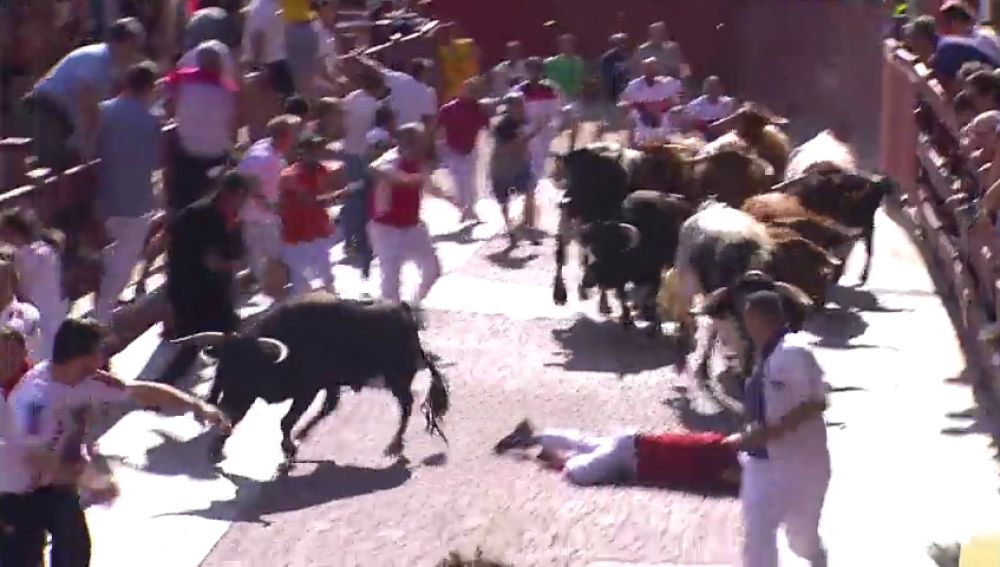 Chapo San Sebastian De Los Reyes