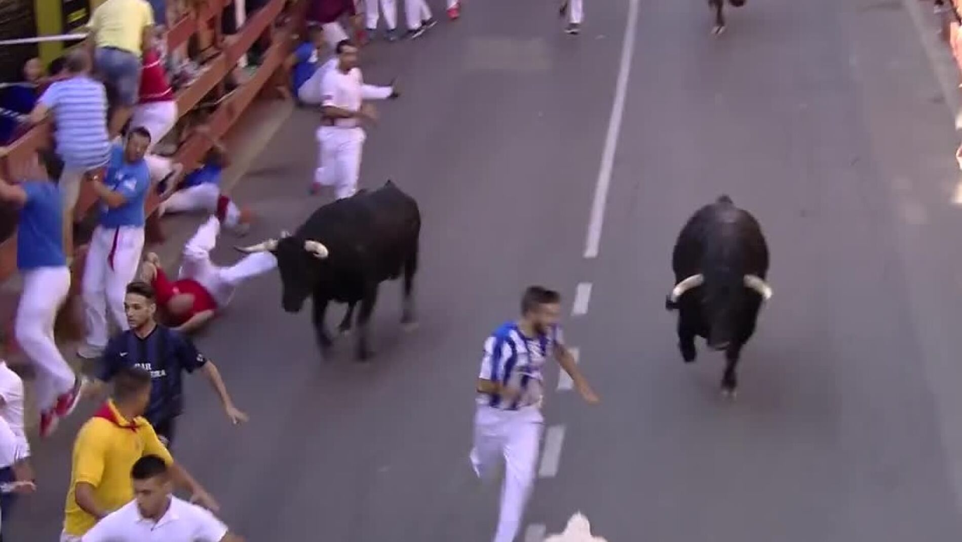 Cuarto encierro en San Sebasti&aacute;n de los Reyes