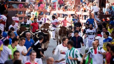Los toros de la Ganadería de Guadalest protagonizan un peligroso y rápido tercer encierro en San Sebastián de los Reyes 