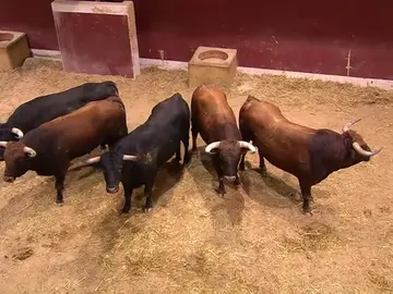 Alberto López Simón, torero, cuenta: "en un encierro uno tira de instinto, no hay tiempo para pensar Alberto López Simón, torero, cuenta: "en un encierro uno tira de instinto, no hay tiempo para pensar