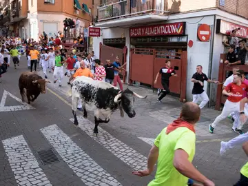 Quinto encierro San Sebastián de los Reyes Quinto encierro San Sebastián de los Reyes