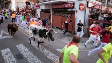 Los toros de la ganadería de Marqués de Quintanar protagonizan un encierro limpio y ordenado en San Sebastián de los Reyes