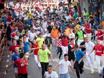 Encierros de Sanse 2018 (02-09-18) Encierros de Sanse 2018 (02-09-18)