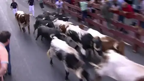 Último encierro en San Sebastián de los Reyes Último encierro en San Sebastián de los Reyes