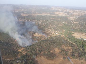 Imagen del incendio en El Ronquillo 