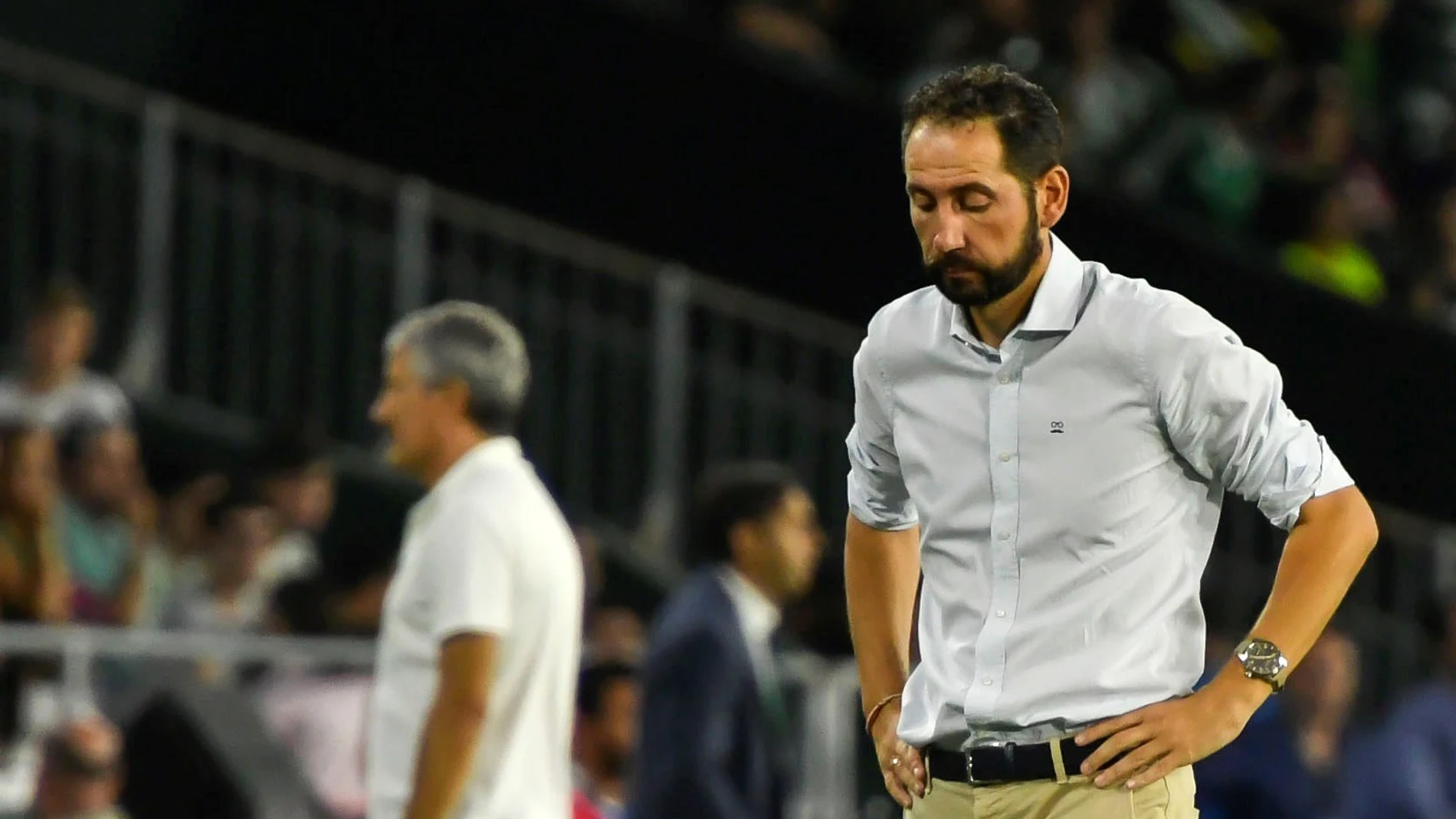 Machín, durante el partido contra el Betis Machín, durante el partido contra el Betis