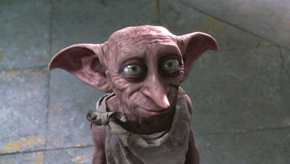 Conoce A Dobby El Gato Que Es Id ntico Al Elfo De Harry Potter Conoce A Dobby El Gato Que Es Id ntico Al Elfo De Harry Potter