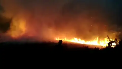 Un incendio provocado por un rayo arrasa 60 hectáreas en Lugo Un incendio provocado por un rayo arrasa 60 hectáreas en Lugo