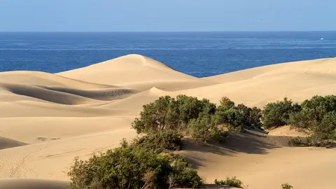 Maspalomas, Gran Canaria ¿Por qué debes viajar a Gran Canaria en los próximos meses?
