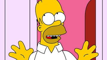 Homer Simpson Homer Simpson