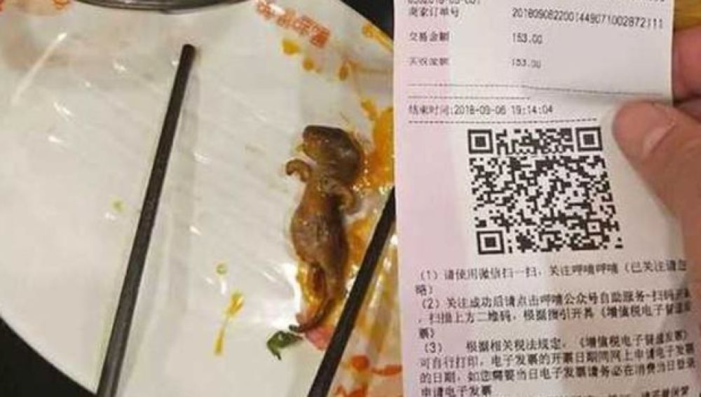 La rata muerta que apareció en el plato de la mujer