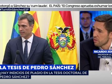 Un miembro del tribunal que aprobó la tesis de Pedro Sánchez: "Siempre existe la posibilidad de que se te pase un plagio"
