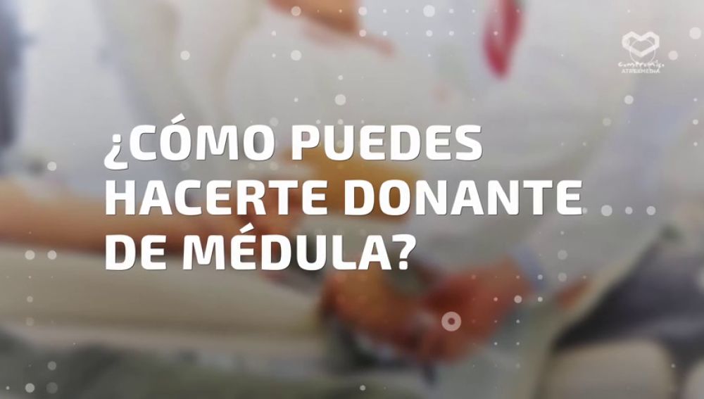 ¿Cómo puedes hacerte donante de médula ósea?