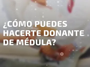 ¿Cómo puedes hacerte donante de médula ósea? ¿Cómo puedes hacerte donante de médula ósea?