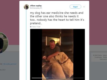 La adorable reacción de este dueño al ver que su perro se pone celoso La adorable reacción de este dueño al ver que su perro se pone celoso