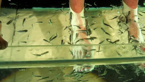 Pedicura con peces Pedicura con peces