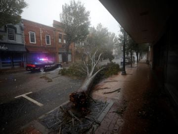 Florence ha llegado (15-09-2018)