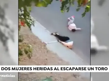 Un toro se escapa del encierro de Arcas y es abatido tras herir a dos personas Un toro se escapa del encierro de Arcas y es abatido tras herir a dos personas