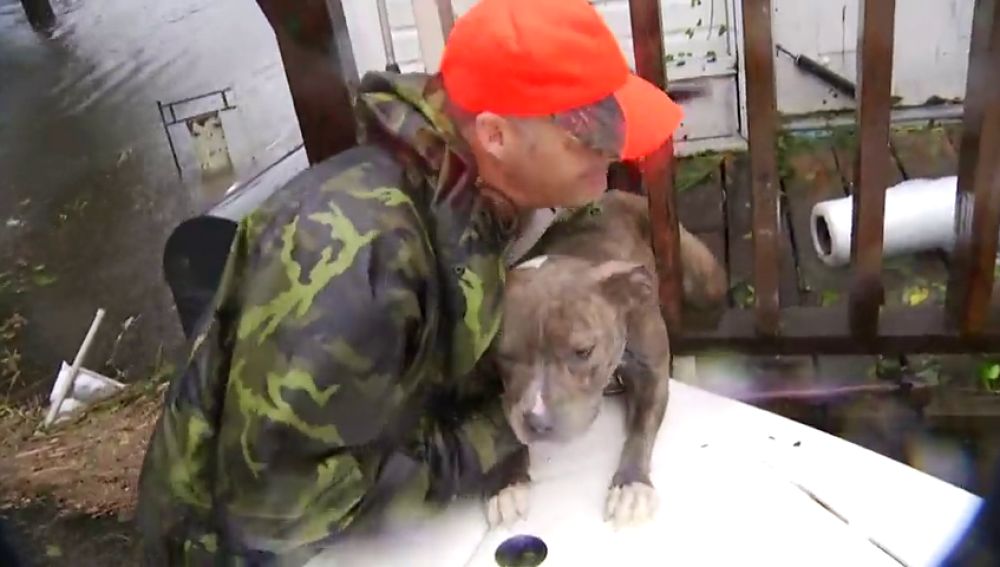 Los servicios de emergencia rescatan mascotas del Huracán Florence