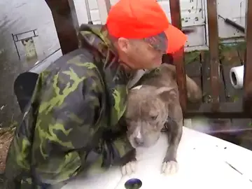 Los servicios de emergencia rescatan mascotas del Huracán Florence Los servicios de emergencia rescatan mascotas del Huracán Florence