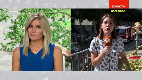 REEMPLAZO Un árbol de grandes dimensiones cae en el centro de Barcelona REEMPLAZO Un árbol de grandes dimensiones cae en el centro de Barcelona