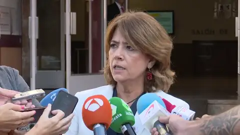 La ministra Delgado desmiente que se reuniera con excomisario Villarejo cuando ejercía como fiscal de la Audiencia Nacional La ministra Delgado desmiente que se reuniera con excomisario Villarejo cuando ejercía como fiscal de la Audiencia Nacional