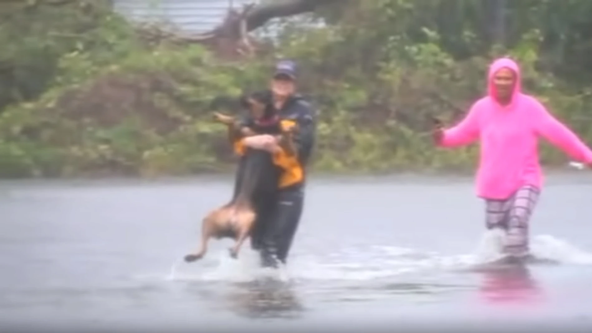 Rescata a un perro en pleno directo Rescata a un perro en pleno directo