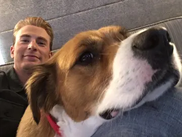 Chris Evans y su perro Chris Evans y su perro
