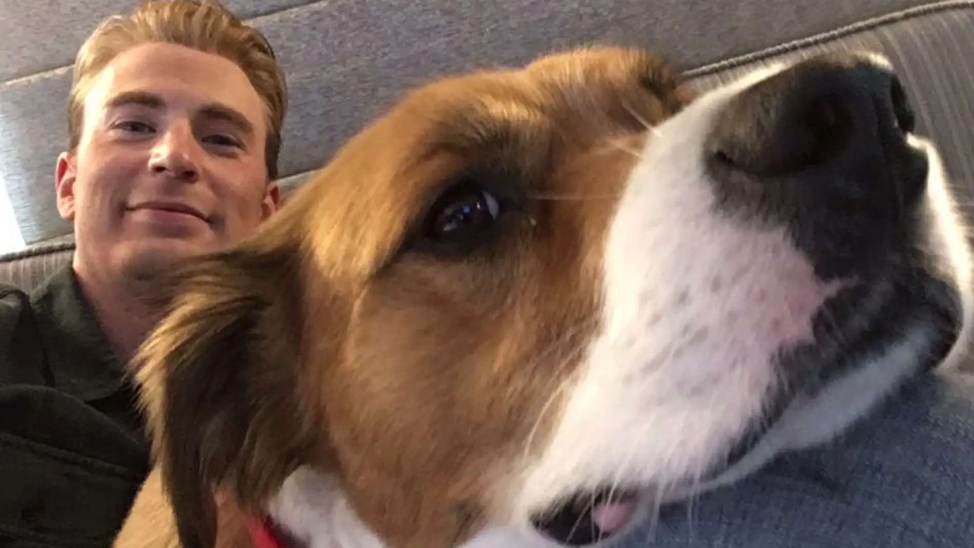 Chris Evans y su perro