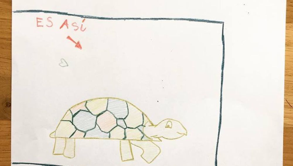 "Se busca tortu"