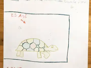 "Se busca tortu" "Se busca tortu"