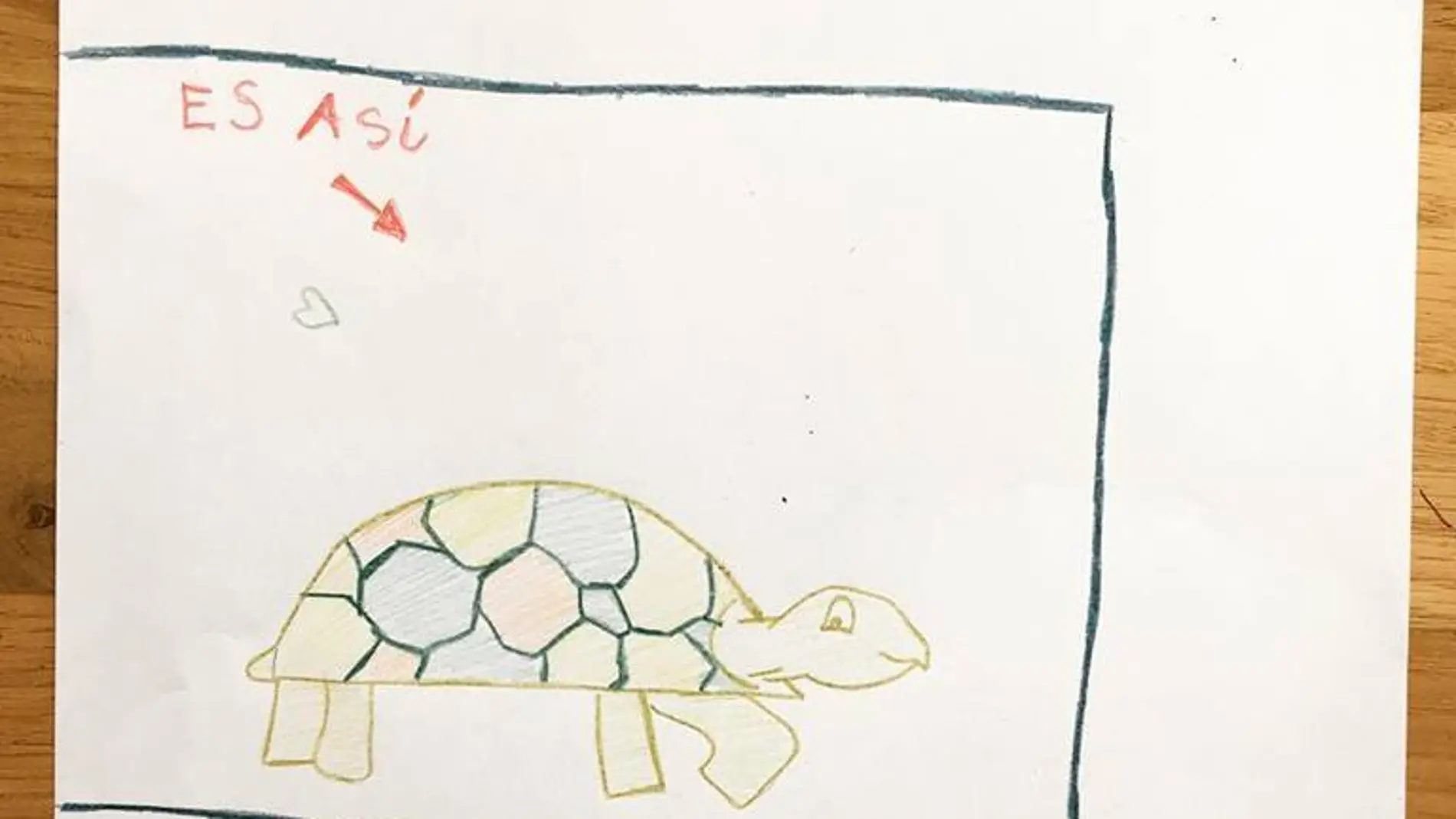 "Se busca tortu" "Se busca tortu"