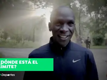 cebodeportes cebodeportes