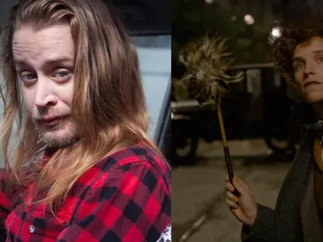 Macaulay Culkin quiere salir en 'Animales Fantásticos' Macaulay Culkin quiere salir en 'Animales Fantásticos'