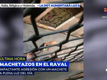 El vídeo de la brutal agresión a machetazos entre dos vecinos del barrio del Raval en Barcelona